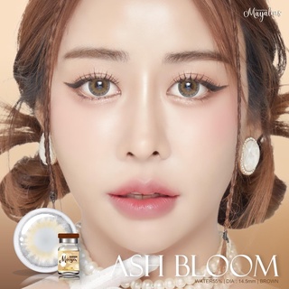 คอนแทคเลนส์🌈Ash Bloom🌈 Brown/Gray (Mayalens) ขนาดกลาง💖