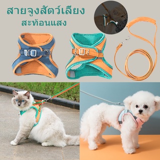 เตรียมจัดส่ง สายรัดสุนัขสำหรับสุนัขขนาดเล็กแมวสะท้อนแสงสายรัดสัตว์เลี้ยงและสายจูงชุดปรับระบายอากาศไ  สายจูงหมา ปลอกคอแมว
