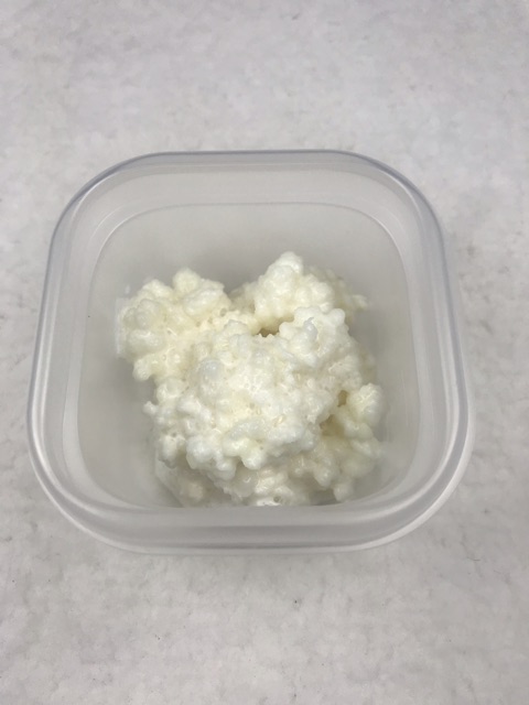 บัวหิมะธิเบต หรือ คีเฟอร์เกรน(Kefir grain)