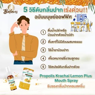 Balance Propoliz mouth spray บาลานส์ โพรพอลิส กระชาย เลม่อน พลัส เม้าท์ สเปรย์ 20 มล. [1 ขวด]