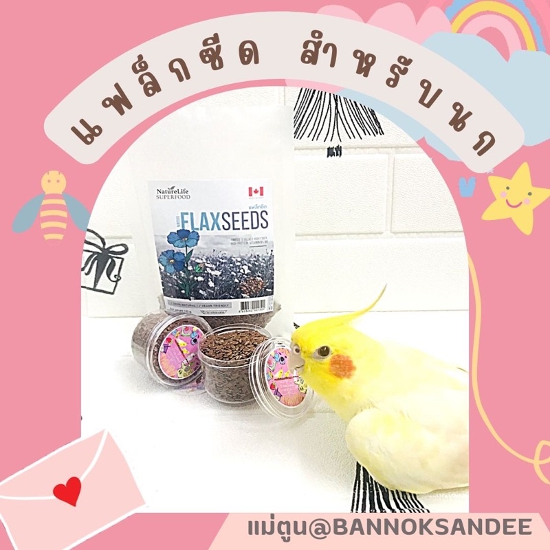 แฟล็กซีด สีทอง สำหรับผสมอาหารนกเล็ก ขนาด40g