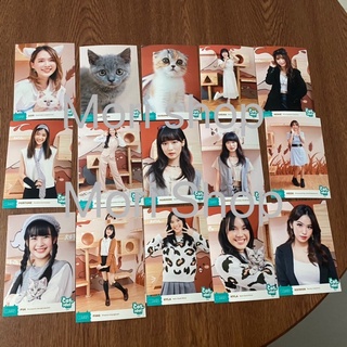 CGM48 Cat Idol - [รูปสุ่ม]