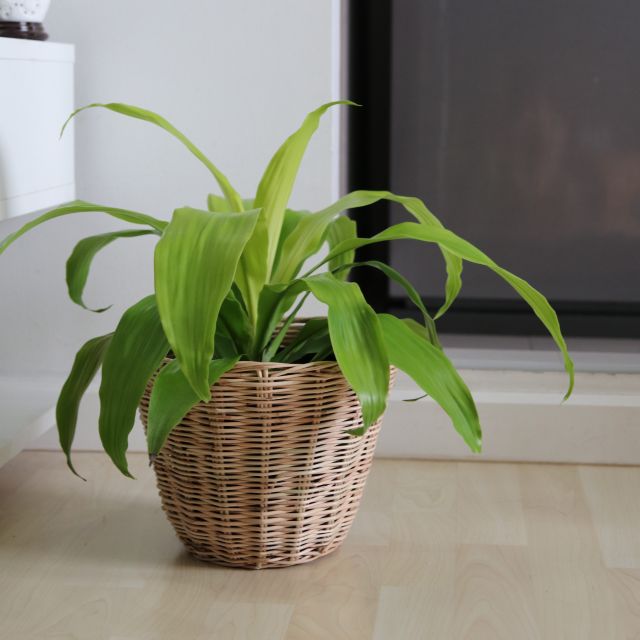 My Image 7