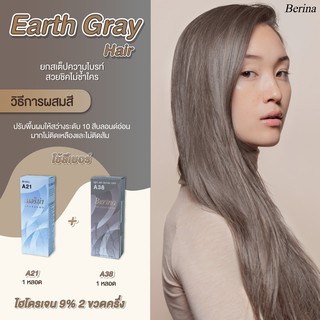 เบอริน่า เซตสี A21 + A38 Earth Gray สีย้อมผม สีผม ครีมย้อมผม ครีมเปลี่ยนสีผม ยาย้อมผม Berina A21 + A38 Earth Gray