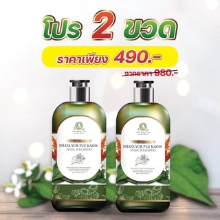 แชมพูพญายอพลูคาว แก้คันเชื้อรา ผมร่วง ของแท้จากบริษัท 1ขวด 250ml