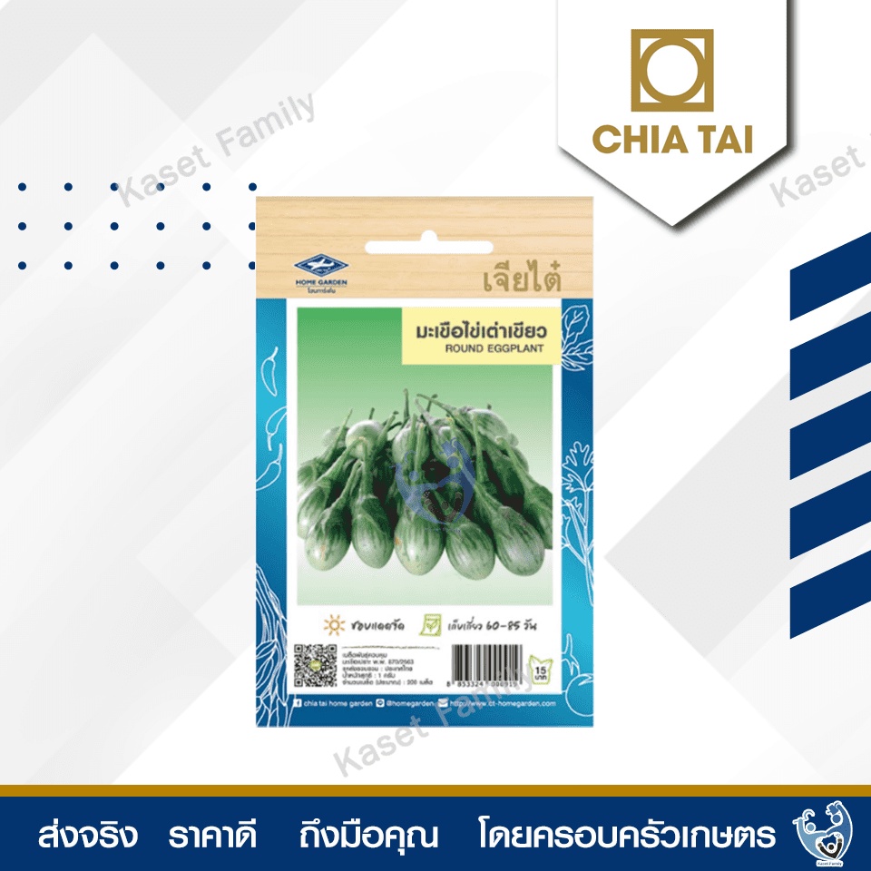 ผักซอง มะเขือไข่เต่าเขียว 200 เมล็ด เมล็ดมะเขือ ตราเจียไต๋