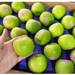 TOP-1แอปเปิ้ลเขียว ( FRANCE / USA / NZL ) (1ลูก) ~ลดพิเศษ~ Green Apple กรอบ อร่อย ผลไม้ต่างประเทศ ผลไม้พรีเมี่ยม ผลไม้นำ