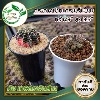 [ยกกระสอบ 300ใบ]กระถางปากแตร 3 นิ้วอย่างดี สวย ทน งานไทยไม่กรอบ