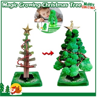 🎄พร้อมส่ง🎄 Magic Growing Christmas Tree ต้นคริสต์มาส ต้นไม้วิทยาศาสตร์ DIY ต้นไม้วิทยาศาสตร์ ของขวัญคริสต์มาส