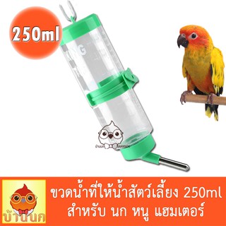 ขวดน้ำสัตว์เลี้ยง 250ml นก กระต่าย แฮมสเตอร์ หนู กระรอก หมา แมว และ สัตว์เลี้ยงขนาดเล็ก (คละสี) ขวดน้ำ ขวดน้ำติดกรง