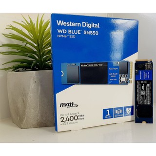 WD บลู เอสเอ็น550 1024GB NVMe M.2 2280
