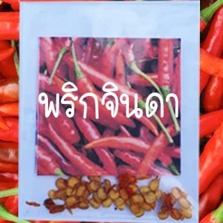 พริกจินดา📌ถูกที่สุด10บ.📌เมล็ดพันธุ์พริกจินดา 50 เมล็ด☘️งอกดี 🌱โตเร็ว☘️ให้ผลดก