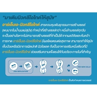 อาหารสุนัข สูตรโรคตับ ไต พร้อมบำรุงหัวใจ NEUOLAC 4Kg สำหรับสุนัขพันธุ์เล็ก-กลาง