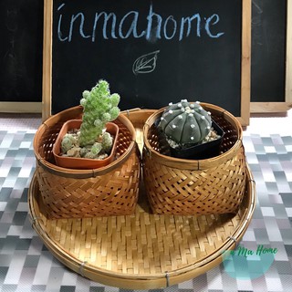 🌿 เซ็ต กระถางไม้ไผ่ มินิ  พร้อมจานรองกระถาง กระถางต้นไม้ Bamboo Weave Basket , Set Of 2