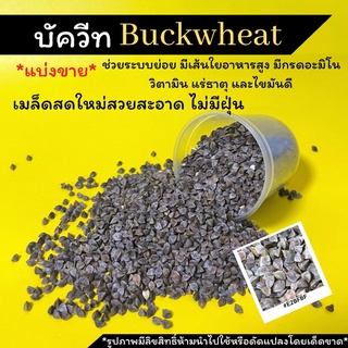 *แบ่งขาย*บัควีทBuckwheat เมล็ดสดใหม่ เกรดAเป่าฝุ่นแล้วขนาด200,500กรัม