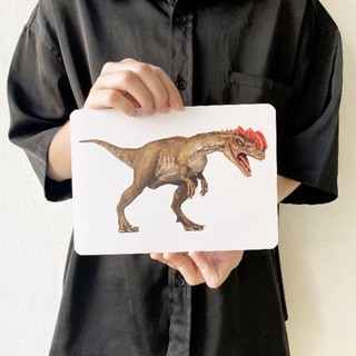 แฟลชการ์ดไดโนเสาร์ แผ่นใหญ่ Flash Card Dinosaur KP062 Vanda learning