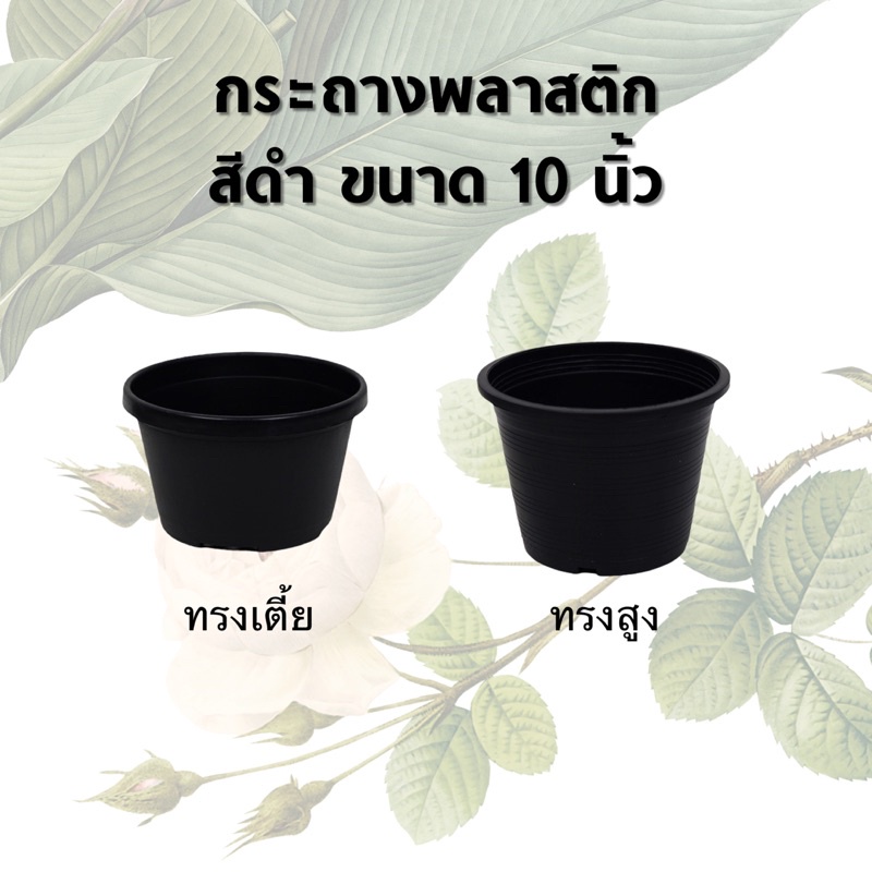 กระถางพลาสติก ขนาด 10 นิ้ว ทรงเตี้ย/สูง สีดำ กระถางต้นไม้พลาสติก มาตรฐาน แข็งแรง