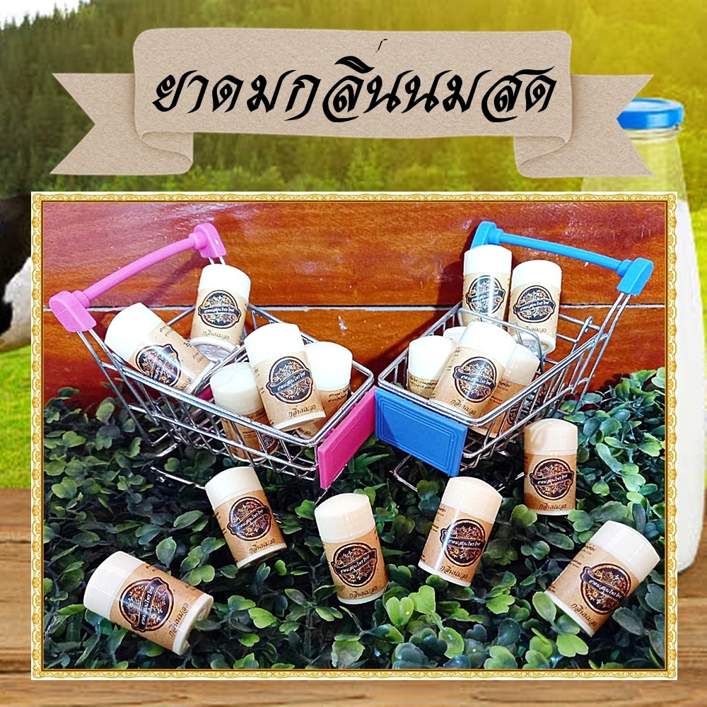 ยาดมสมุนไพร ยาดมกลิ่นนมสด Milk Inhaler ยาดมขนาดพกพาราคาประหยัด