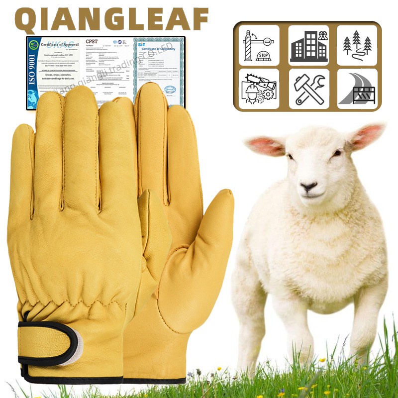 Qiangleaf [ข้อเสนอพิเศษ] ถุงมือหนังแกะนิ่ม คุณภาพสูง สีเหลือง ขาว 520MY สําหรับครอบครัว มุสลิม Diy