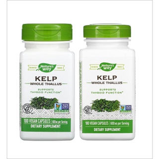 Natures Way, Kelp, Whole Thallus, 600 mg, สาหร่ายเคลป์ เข้มข้นสูง