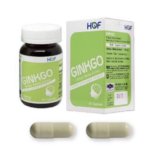 Ginkgo Extract 60 mg (แป๊ะก๊วย) 60’s