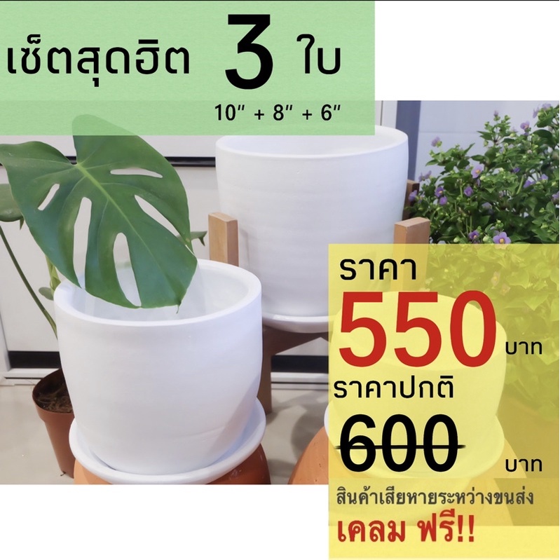 เซ็ตสุดฮิต กระถางดินเผา กระถางต้นไม้ (6 8 10 นิ้ว) พร้อมจานรอง