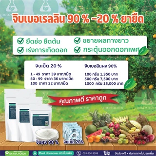 จิบเบอเรลลิน #(GA3 Gibberellic Acid Berelex 90%) ( ชนิดผง ) 1000g