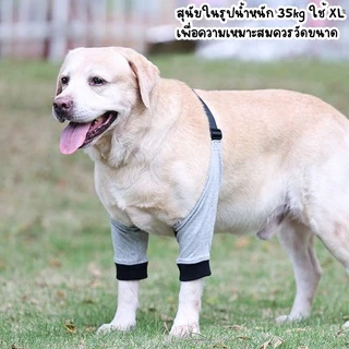 Happy PETs สนับศอกสุนัข สนับเข่าสุนัข ป้องกันศอกด้าน รองศอก ป้องการการเสียดสีกับพื้น DogLemi