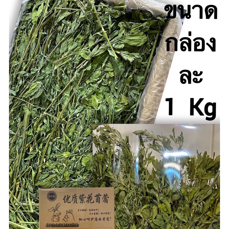 หญ้าอัลฟาฟ่าอบ กล่องดำหญ้าใหม่ ล๊อต 2026 เขียวสุดๆ กล่อง1kg