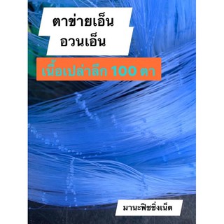 อวนเอ็น น้ำลึก 100 ตา เนื้อเปล่ายาว 180 เมตร 📌มีตา 6 เซ็น / 7 เซ็น / 8 เซ็น ให้เลือก