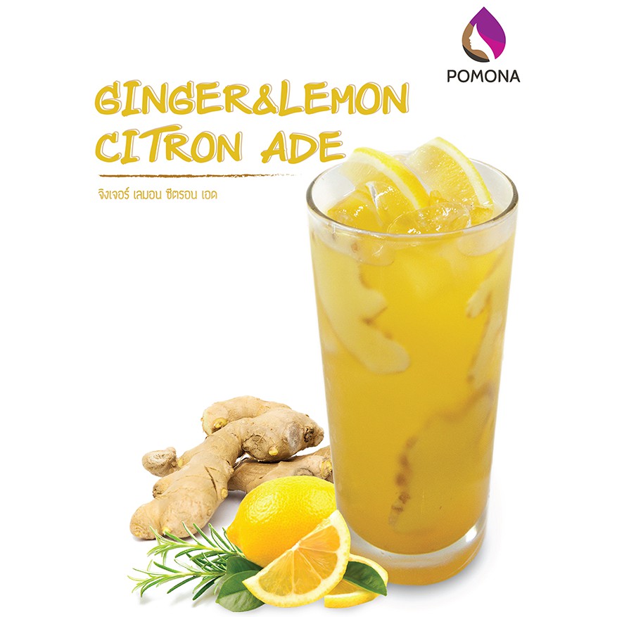 Pomona – Mixology Ginger Lemon Syrup โพโมนา ไซรัป มิกซ์โซโลจี้ จิงเจอร์เลมอน 1000ml [ไซรัปพรีเมียม ผลิตจากประเทศเกาหลี] รูปที่ 3