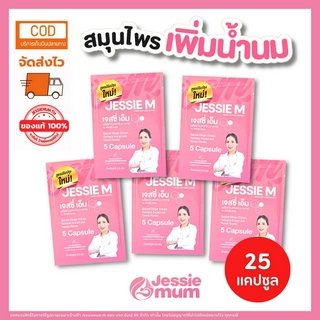 🔥ส่งฟรี🍼Jessie mumชุดทดลอง 5 ซอง/ 25แคปซูล 🍼เจสซี่มัม อาหารเสริมเพิ่มน้ำนม กระตุ้นน้ำนม กู้น้ำนม สมุนไพรเพิ่มน้ำนม