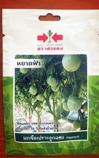 เมล็ดผักศรแดง เจียไต๋ ตะวันต้นกล้าชุดที่3 🌶🍆🍅เมล็ดพริกมะเขือ🌶🍅🍆 พริกขี้หนู พริกยอดสน พริกชี้ฟ้า พริ พริกหนุ่ม ซอง 10 บาท