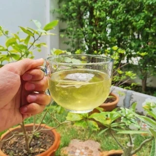 ชามาเต เยอร์บามาเต ชาพุงยุบ Yerba mate บรรจุ10ซองดื่มได้10วัน