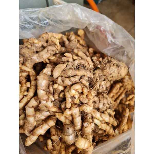 ว่านม้าฮ้อม้งหัวล่ะ80บาท