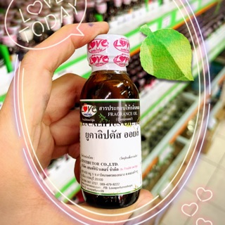 หัวเชื้อน้ำหอม กลิ่น ยูคาลิปตัส ออยล์ Eucaliptus oil