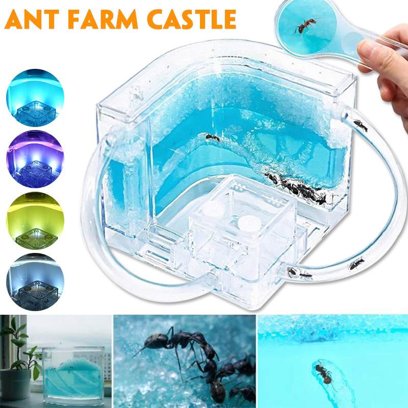﹍✳USB Colorful Insect Feeding Box with LED Light Ant Farm Ant House Castle Insect Box Ecological Toy Education Model