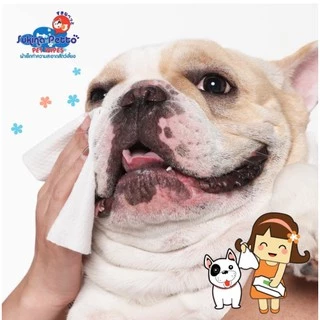 Sukina Petto Pet Wipes ทิชชู่เปียก ผ้าเปียกสำหรับสัตว์เลี้ยง ไซส์ 22x22cm ห่อใหญ่บรรจุ 20-70 แผ่น
