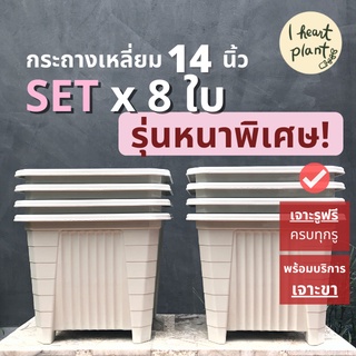 ✨ SET กระถางเหลี่ยม เนื้อหนาพิเศษ ยกสูง ขนาด 14 นิ้ว (ใส่ซุ้มได้) x 8 | Square Pot 14 Inch กระถางกุหลาบ ไม้ประดับ ไม้ใบ