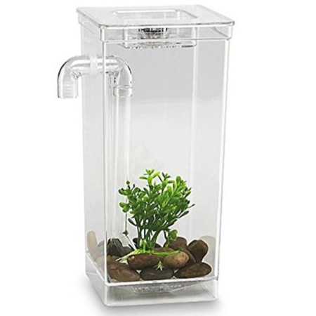As Seen on TV 56028 My Fun Fish Tank, 4 3/4 x 6 x 10 นิ้ว