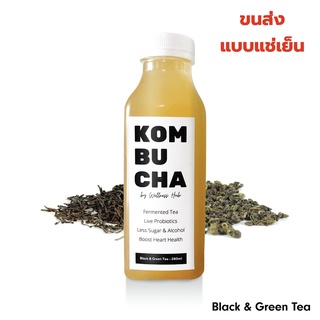 [ ชาดำ - ชาเขียว ] Premium Kombucha คอมบูชา คอมบูชะ คอมบูฉะ คอมบุชะ กอมบูชา ชาหมัก น้ำชาหมัก คีโต Keto Black Green Tea