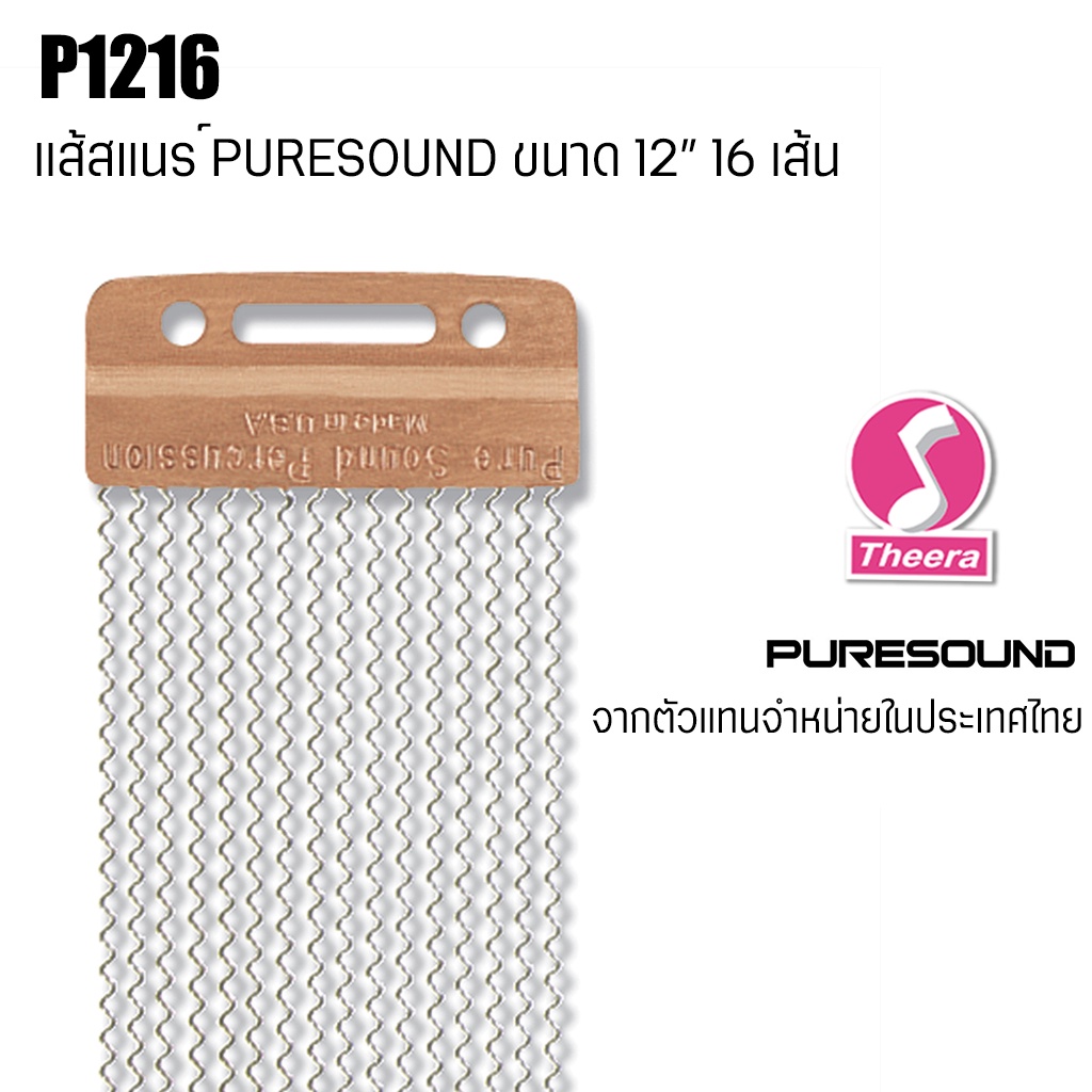 สายสแนร์ PURESOUND รุ่น P1216 สำหรับกลองสแนร์ขนาด 12" แบบ 16 เส้น Strand Snare W