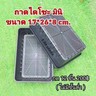 ถาดไดโซะ มินิ // กด 12 ใบ 200 บาท -- ถาดเพาะเมล็ด ถาดเพาะต้นอ่อน 17x26X8 cm กระถางพลาสติก