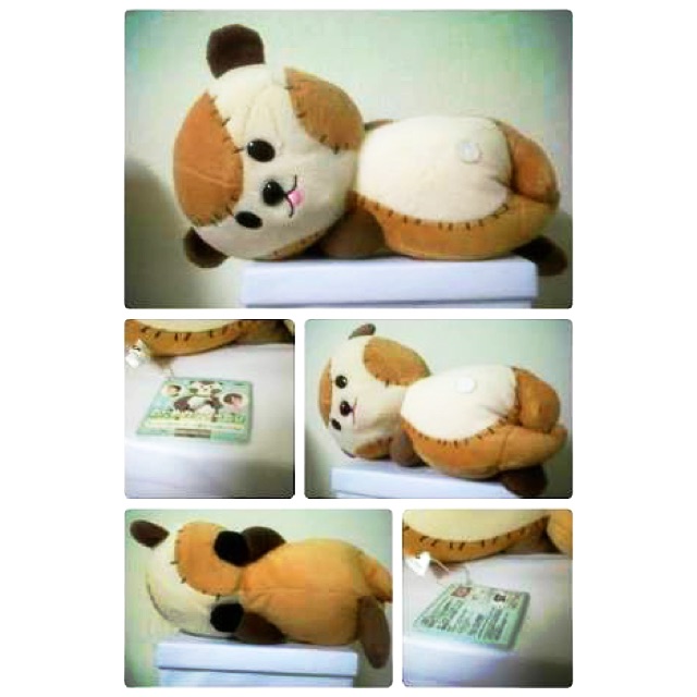 พร้อมส่ง❗️ตุ๊กตาพังพอน : Nodame Cantabile