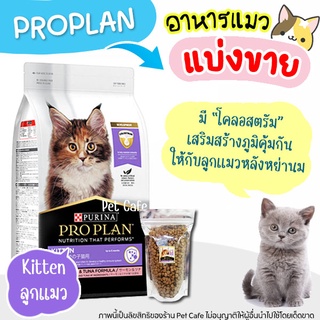 🌼แบ่งขาย🌼 อาหารแมว Proplan สูตรแมวเด็ก ล็อตใหม่  (บรรจุถุงซิปล็อก ซีลร้อนอย่างดี วางตั้งได้)【I1】