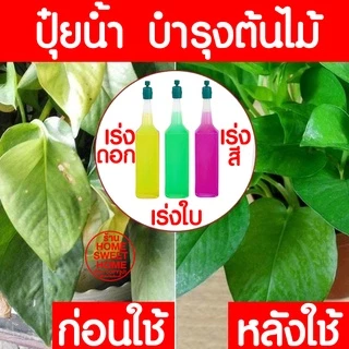 ถาดเพาะกล้า ถาดเพาะชำ เพาะเมล็ด ต้นกล้า ต้นอ่อน ไฮโดร 50, 72, 105, 200หลุม เมล็ด สลัด คอส ผักสวนครัว Outlet