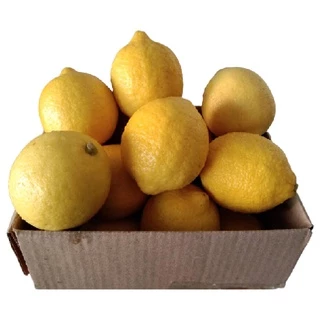 มะนาวเหลืองสดผิวสวยเหลืองเข้ม เลม่อน(Lemon)