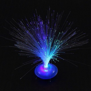 โคมไฟพู่เรืองแสงเปลี่ยนสีได้ในที่มืด Fiber Optic LED