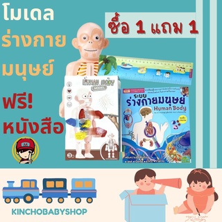 #โมเดลจำลอง ร่างมนุษย์ #ของเล่น แนววิทยาศาสตร์