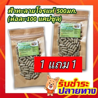 ‼️โปร 1แถม1 ฟ้าาาทะลายโจรแท้  เพียวๆ ไม่ผสมตัวอื่น บดผงบรรจุแคปซูล 500mg. (100 แคปซูล /ห่อ)